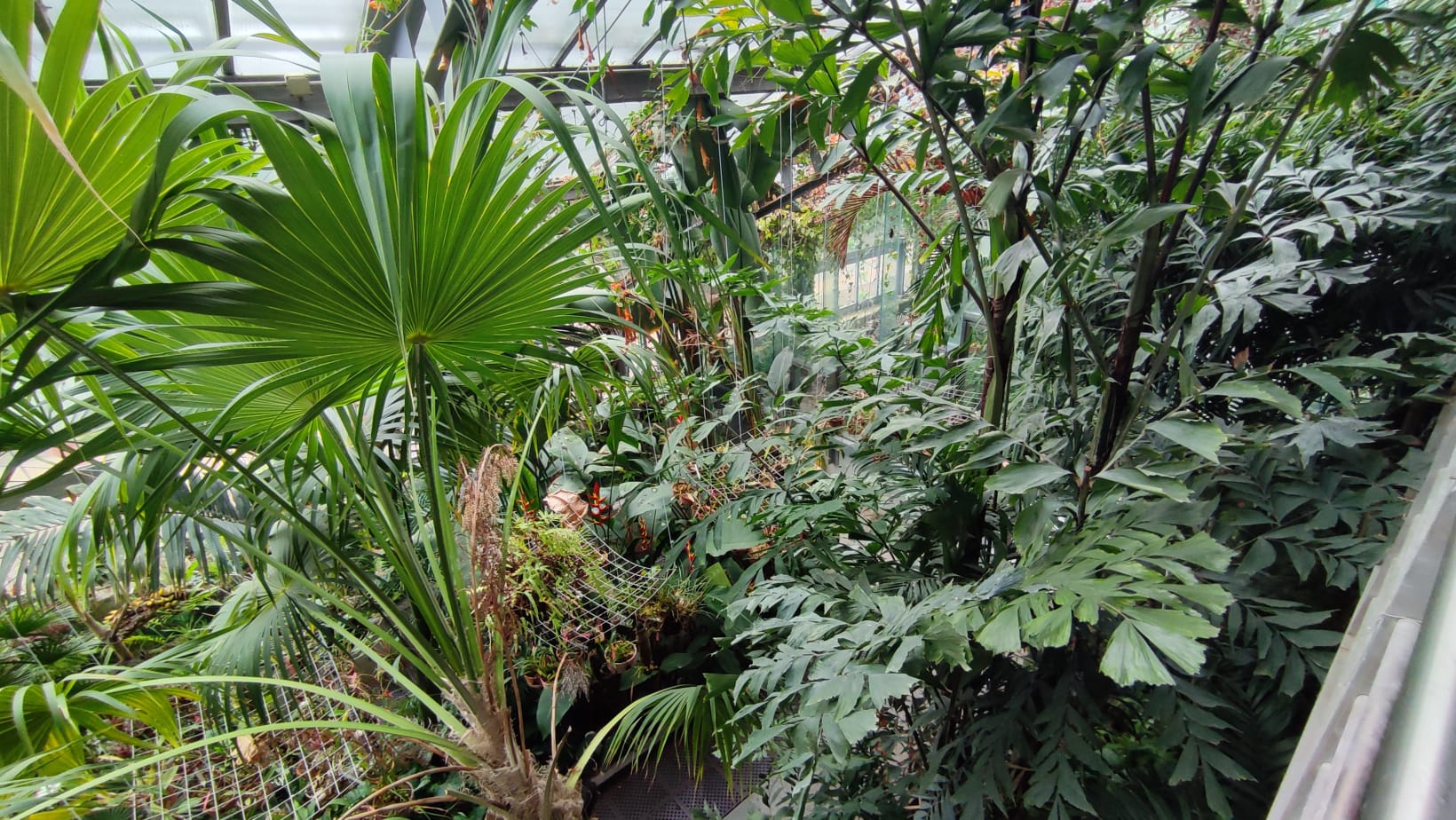 IMG-20230430-WA0004